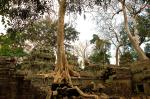 images/Fotos_Kambodscha/8.Angkor.jpg
